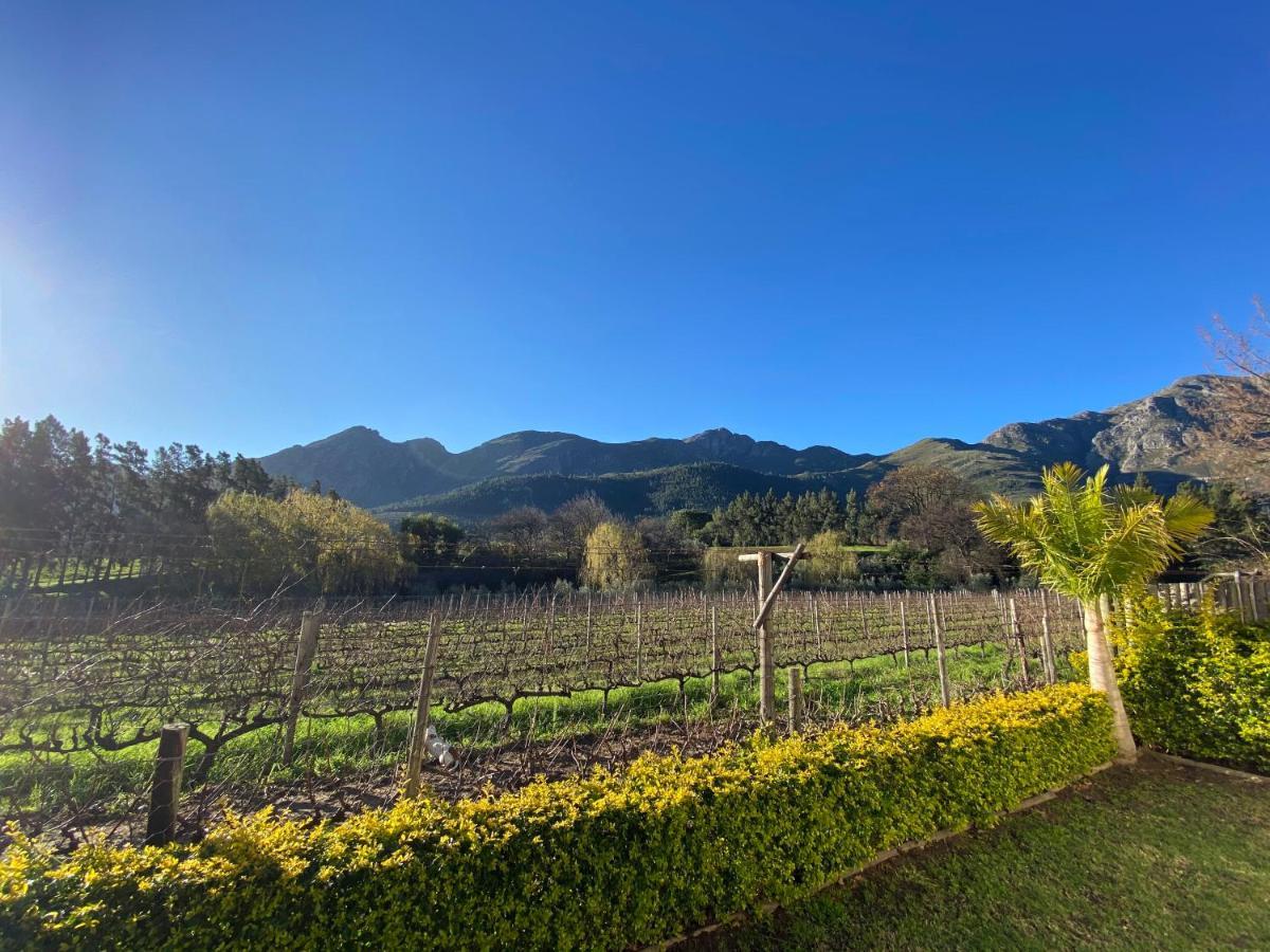 Olive&Vine Farm Cottage Franschhoek Exteriör bild