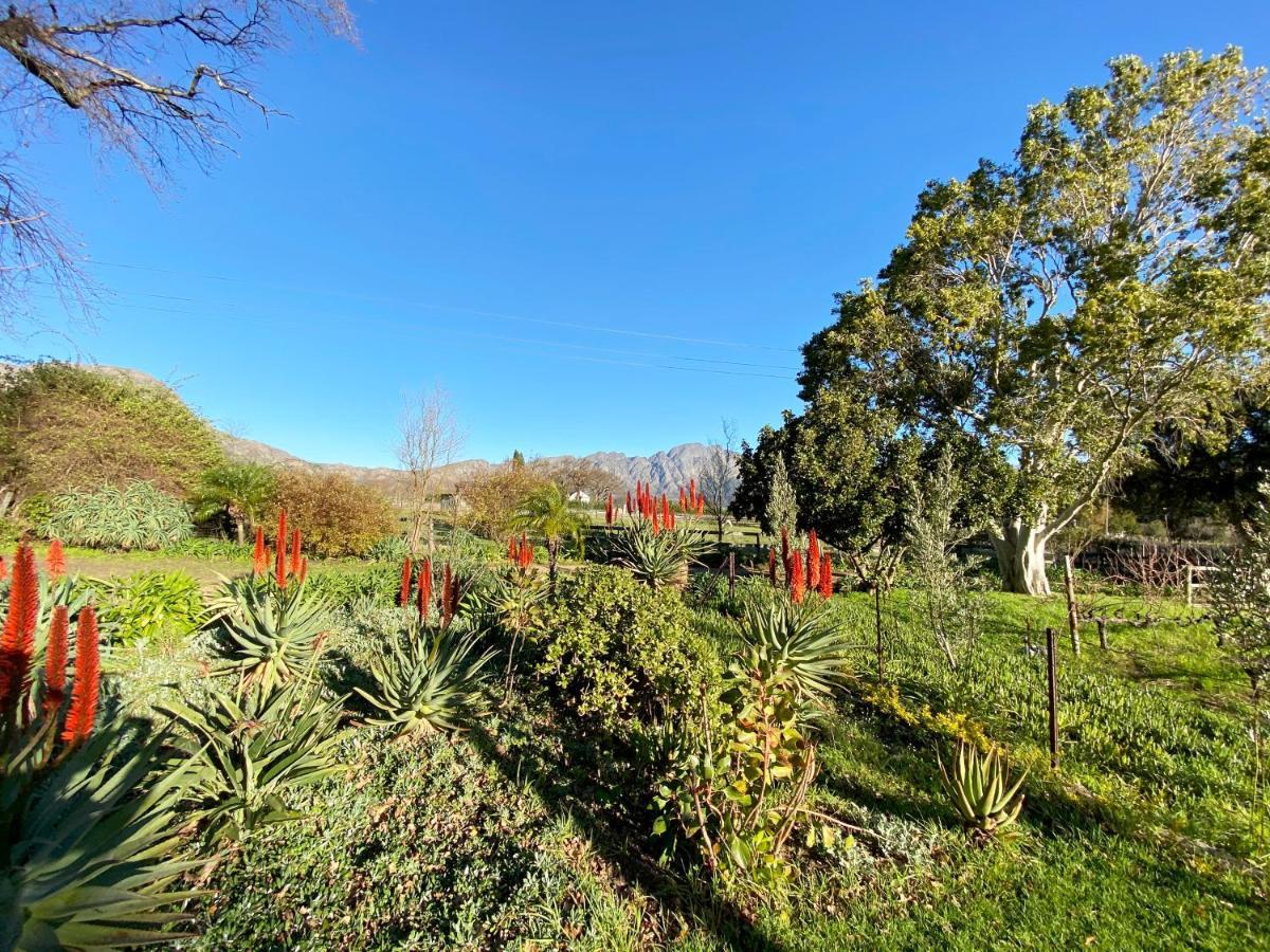 Olive&Vine Farm Cottage Franschhoek Exteriör bild
