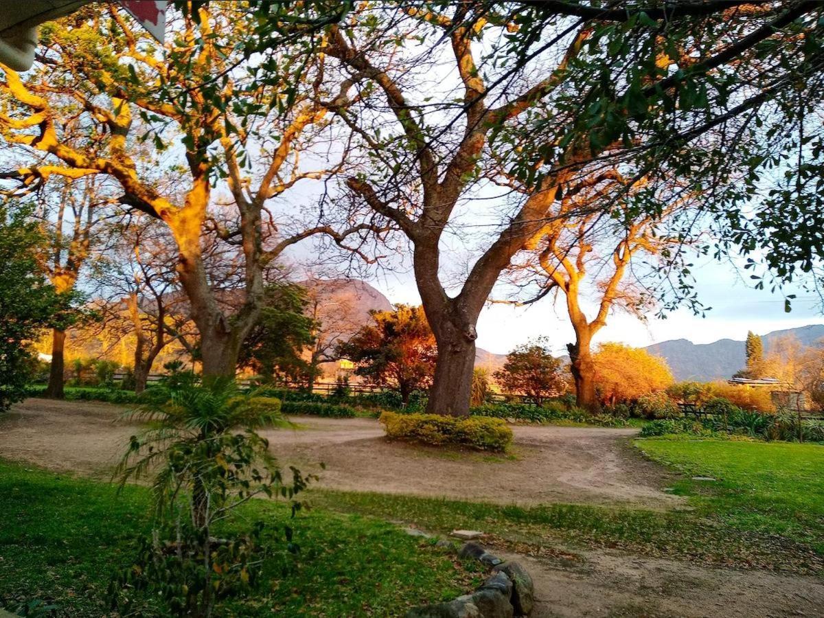 Olive&Vine Farm Cottage Franschhoek Exteriör bild