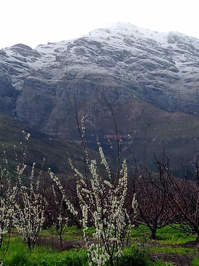 Olive&Vine Farm Cottage Franschhoek Exteriör bild