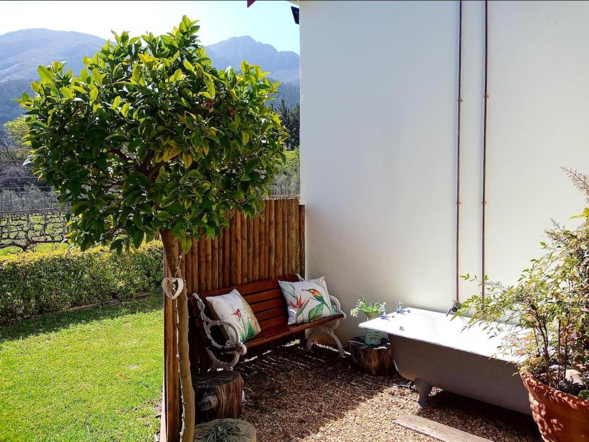 Olive&Vine Farm Cottage Franschhoek Rum bild