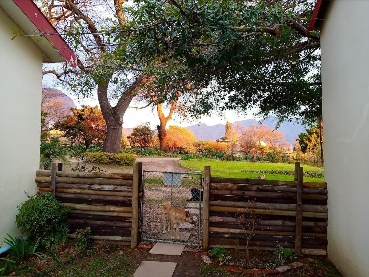 Olive&Vine Farm Cottage Franschhoek Rum bild